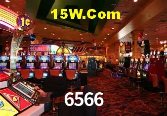 6566 - Support