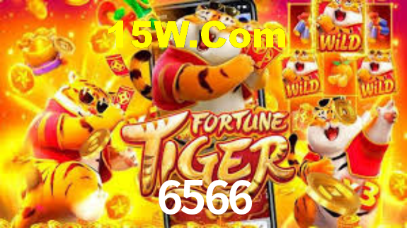 6566