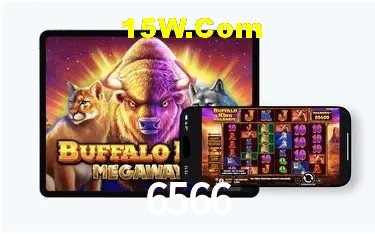 Promoção Relâmpago 6566
